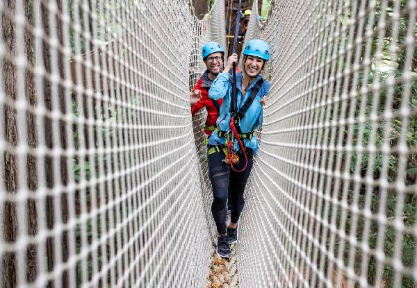 Guided Redwoods Altitude Experience for Adult or Child incl. Ziplining & 25-Metre High Guide