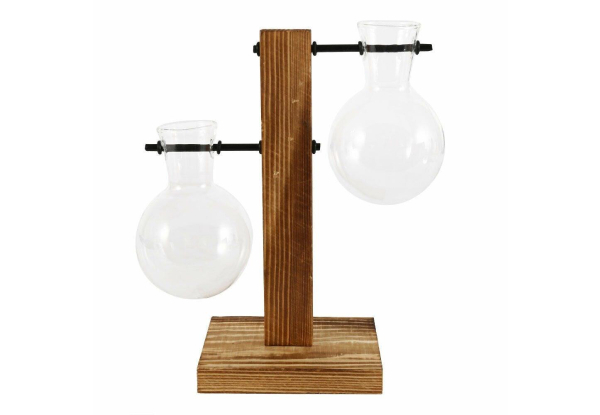 Hydroponic Glass Vase Stand with Free Delivery
