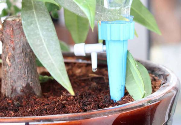 Six-Piece Automatic Drip Irrigation Watering Device