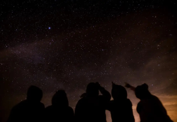 Night-time Wonders Kiwi Spotting and Stargazing Tour at Tawharanui