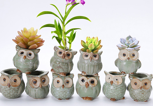 Two-Pack Mini Owl Ceramic Flowerpot - Option for Four-Pack with Free Delivery