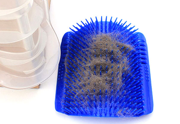 Catnip Self-Grooming Cat Brush - Option for Two with Free Delivery