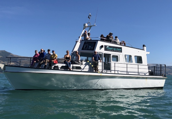 Two & Half-Hour Akaroa Scenic Coastal Cruise Adult Pass - Options for Child or Family Pass - Valid from 1st November 2024