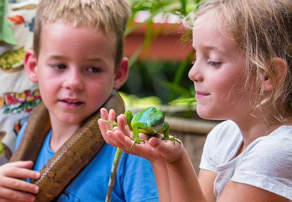 Per Person Twin Share Fijian Getaway to Naviti Resort, Coral Coast Fiji incl. Airport Transfers, Daily Buffet Breakfast, Scuba Diving Lesson in Pool & Water Activities - Book Before 31st of January & Two Children Stay & Eat Free