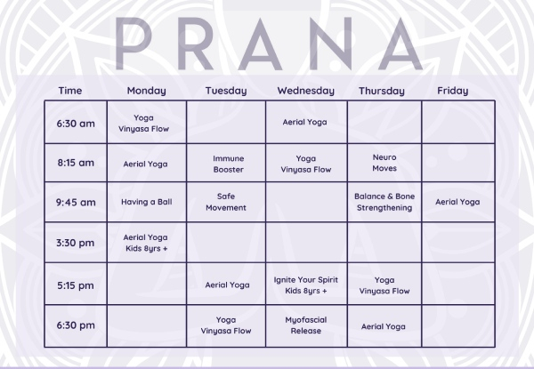 One-Month Unlimited Aerial Yoga, Mat Yoga & Movement Classes for One Person