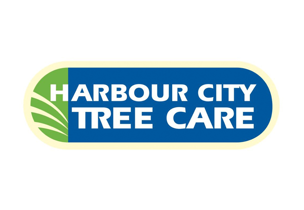 Professional Arborist Services for Four Hours Options for Eight Hours incl. Hedge Trimming, Tree Pruning & Difficult Tree Removal