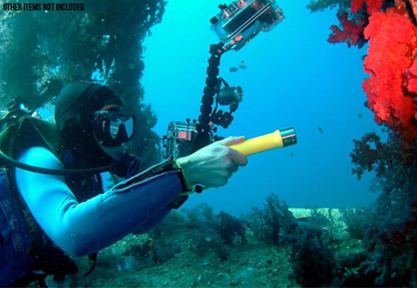 LED Diving Torch