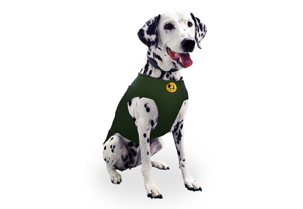 $65 for a NZ Designed Canine Calm Coat (value $95)