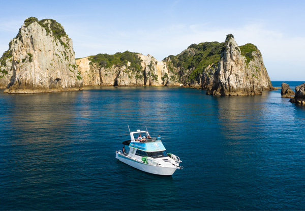 Full-Day Island Explorer Boat Trip for One Adult incl. Lunch & Activities - Options for Two Adults, Children or Family Pass