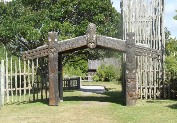 Adult,Child or Family Wairakei Terraces Walkway Entry