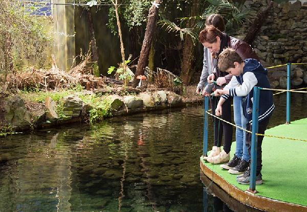 Adult Entry to National Kiwi Centre - Options for Child & Family Pass