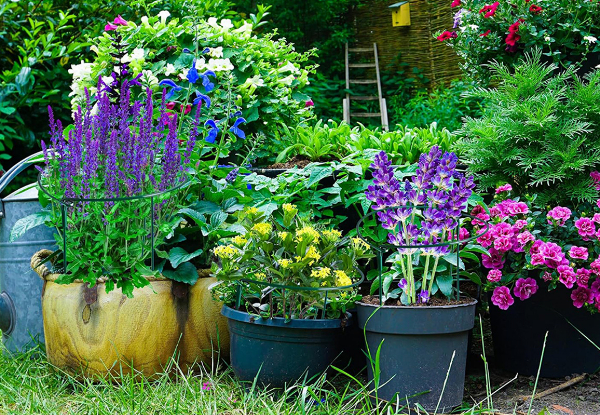 Six-Piece Plant Support Stakes