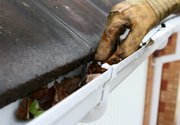 Gutter Cleaning Inspection - Option for Gutter Clean Out for up to a Five-Bedroom House