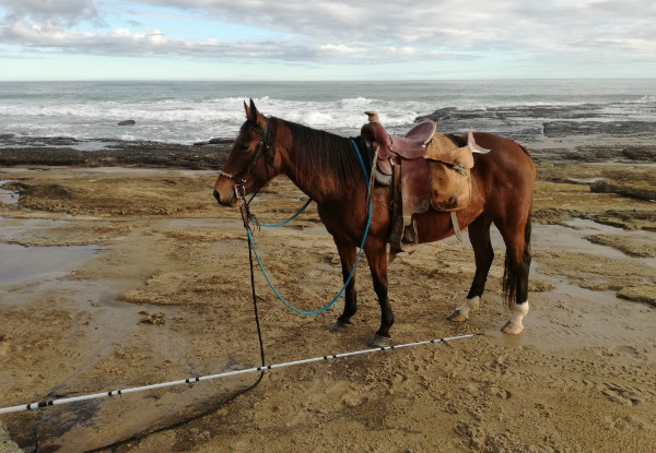 One-Hour Beach Horse Ride - Options for Two People & up to Three-Hours