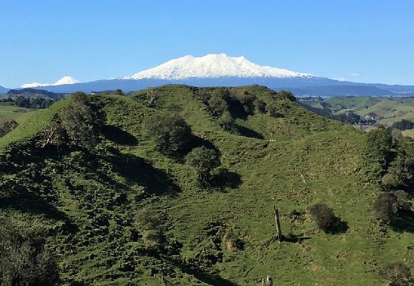 42 Traverse Mountain Bike Trail Adventure Package incl. One Night Prior & One Night After Bike Trail Accommodation, Cooked Breakfast, Two-Course Dinner & Transfers to Trail - Options for One, Two, or Four People - Bring your Own Bike