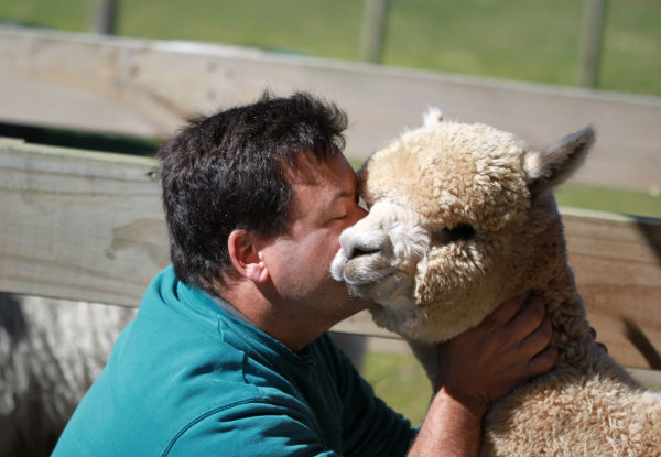 Alpaca Farm Tour For One Adult - Option for a Child Pass