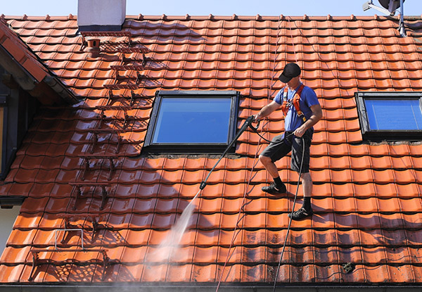 Roof Treatment for Moss, Mould & Lichen incl. Roof & Gutter Clean