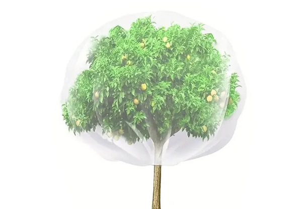 Garden Plant Protection Cover - Option for Two