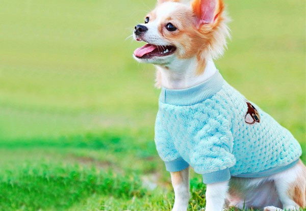 Puppy Winter Jacket - Two Colours & Five Sizes Available