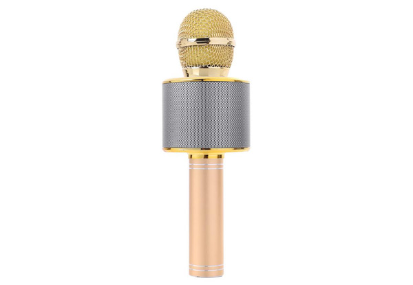 Bluetooth Karaoke Microphone