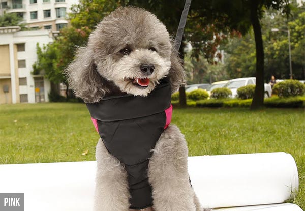 Water-Resistant Dog Jacket - Four Colours & Seven Sizes Available