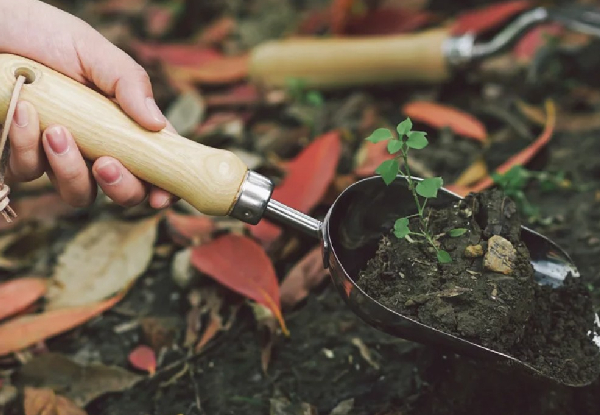 Three-Piece Stainless Steel Gardening Tool Set