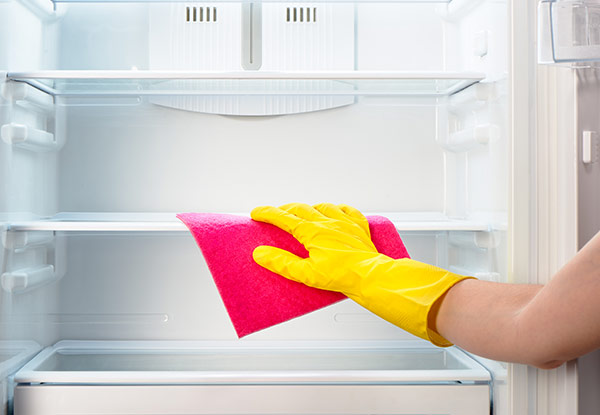 Oven Clean with Options to incl. Fridge Clean