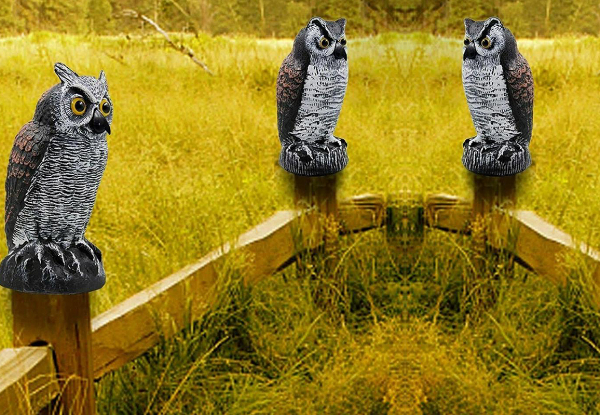 Large Garden Owl Decoy - Available in Two Colours