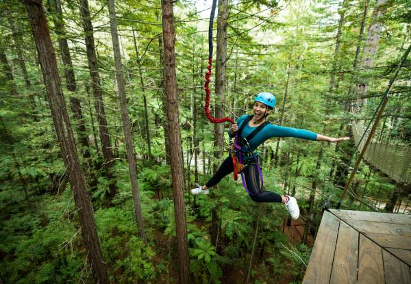 Guided Redwoods Altitude Experience for Adult or Child incl. Ziplining & 25-Metre High Guide