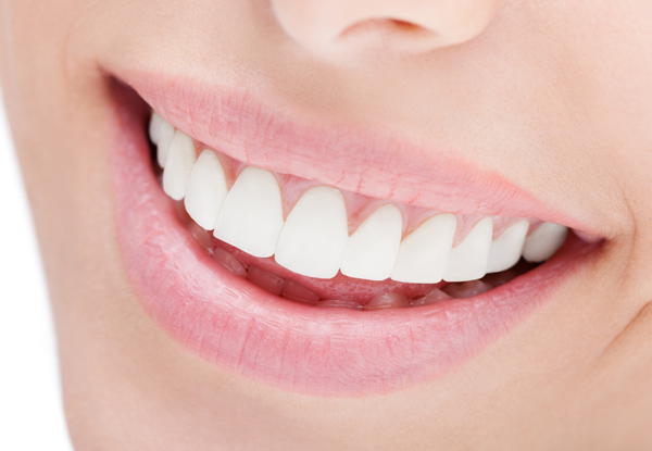 Single Tooth Filling or a Single Tooth Extraction incl. a Consultation, X-Ray, Local Anesthetic & Post Op Care