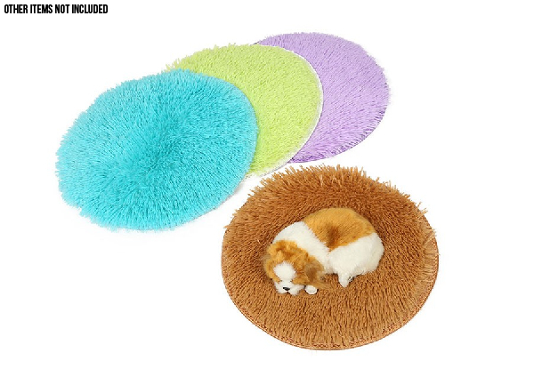 Pets Carpet Rug - Two Sizes & Four Colours Available