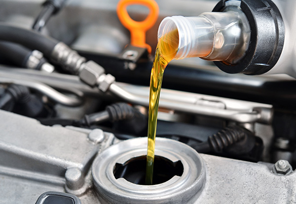 Oil & Filter Change incl. a WOF Package for a Standard Four-Cylinder Vehicle