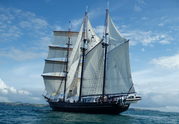 Five-Day Coastal Adventure from Napier to Wellington with the Spirit of Adventure Trust