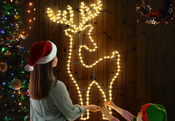 Solight Reindeer Christmas Light