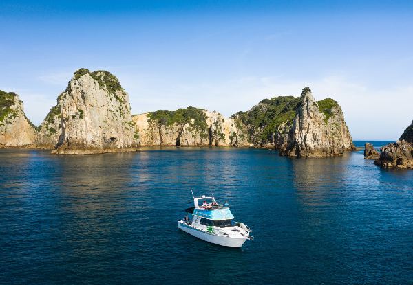 Full Day Island Explorer Boat Trip incl. Lunch & Activities - Options for Adults, Children or Family Pass