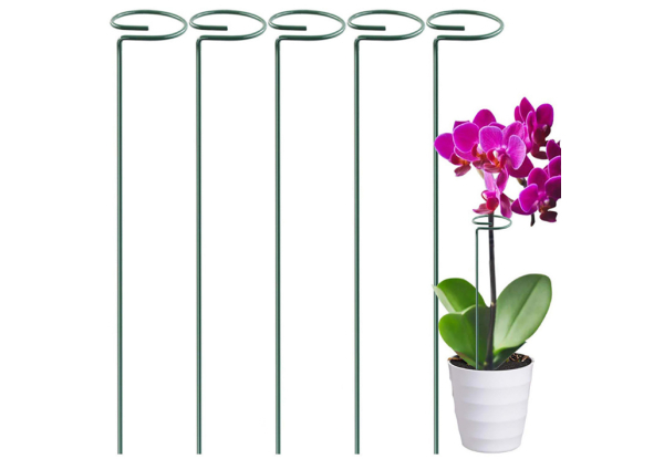 Five-Pack of Plant Support Stakes