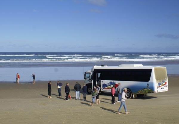 Dune Rider Full Day Tour to Cape Reinga via 90 Mile Beach incl. Lunch - Departing from Paihia or Kerikeri - Option for Two People & Family Pass