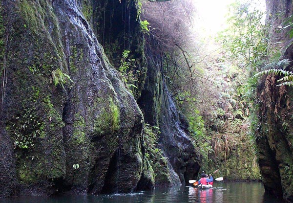 Three-Hour Glow Worm Adventure Kayak Trip - Option for Adult or Child