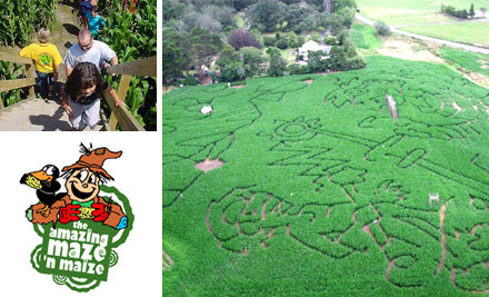 50% off Entry to The Amazing Maze 'n Maize, Kingseat (value up to $12)