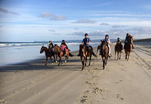 90-Minute Horse Trek & Demonstration for a Group of Four People - Option for a Group of Five
