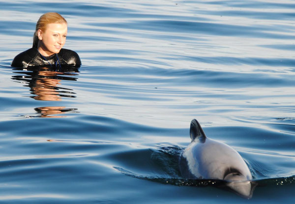 Swim in the Wild with Hector Dolphins in Akaroa for One Adult - Option for Child or for Spectator Only Passes