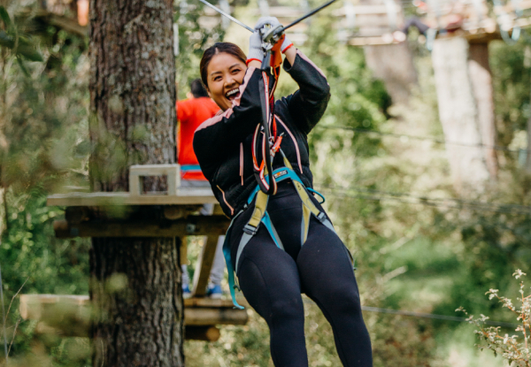 One Adult or Child Admission to The Stix Ultimate Tree Climb - Valid Friday to Sunday