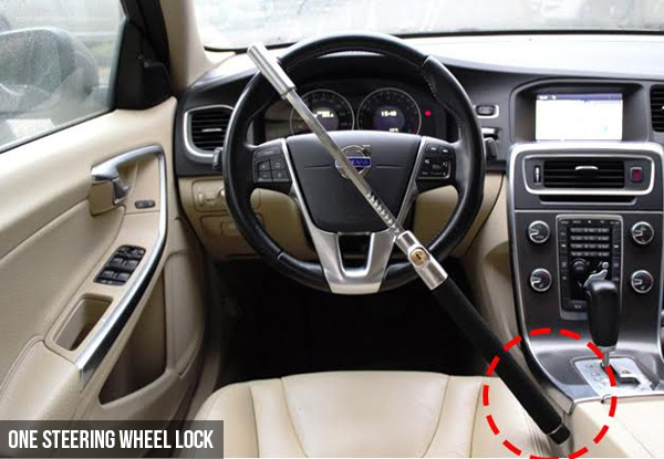 $24.90 for a Car Wheel Clamp or Steering Wheel Lock
