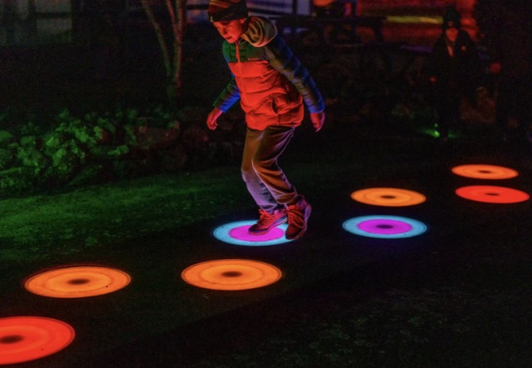 30% Off Entry to the Illumination Night Walk at the New Zealand Festival of Christmas in Greytown - Options for Family Pass with Treats, or Two Adults with $50 White Swan Voucher