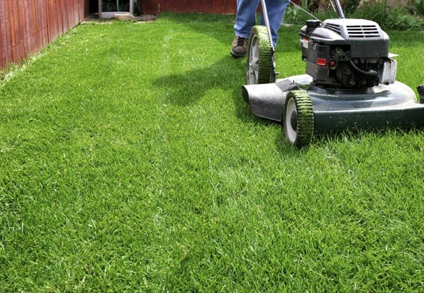 $65 for Two Man-Hours of Garden Maintenance incl. Hedges, Tree Pruning, Clean-Ups, Tidy-Ups & Lawn Mulching (value up to $330)