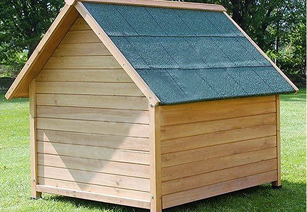 XL Dog Kennel with Rooftop Opening