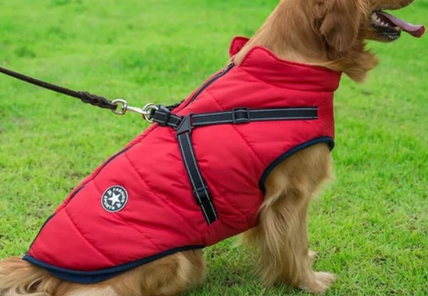 Winter Warm Jacket for Dogs with Harness - Four Sizes Available