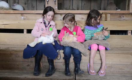 $10 for One Adult Farm Admission & a Hot Drink OR $20 for Two Adults & Two Hot Drinks - Both Options incl. a Bag of Feed Per Person & Unlimited Activities