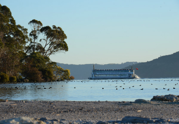 Coffee Cruise for Two upon the Beautiful Lake Rotorua - Options for Four People, Extra Adults & Extra Children Available
