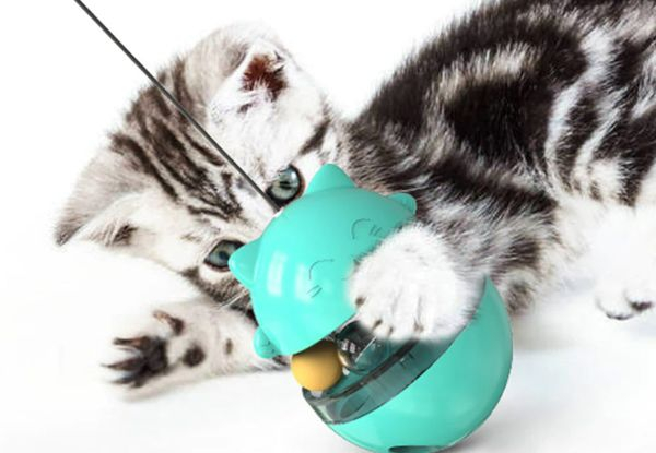 Cat Interactive Ball Tumbler Toy - Three Colours Available